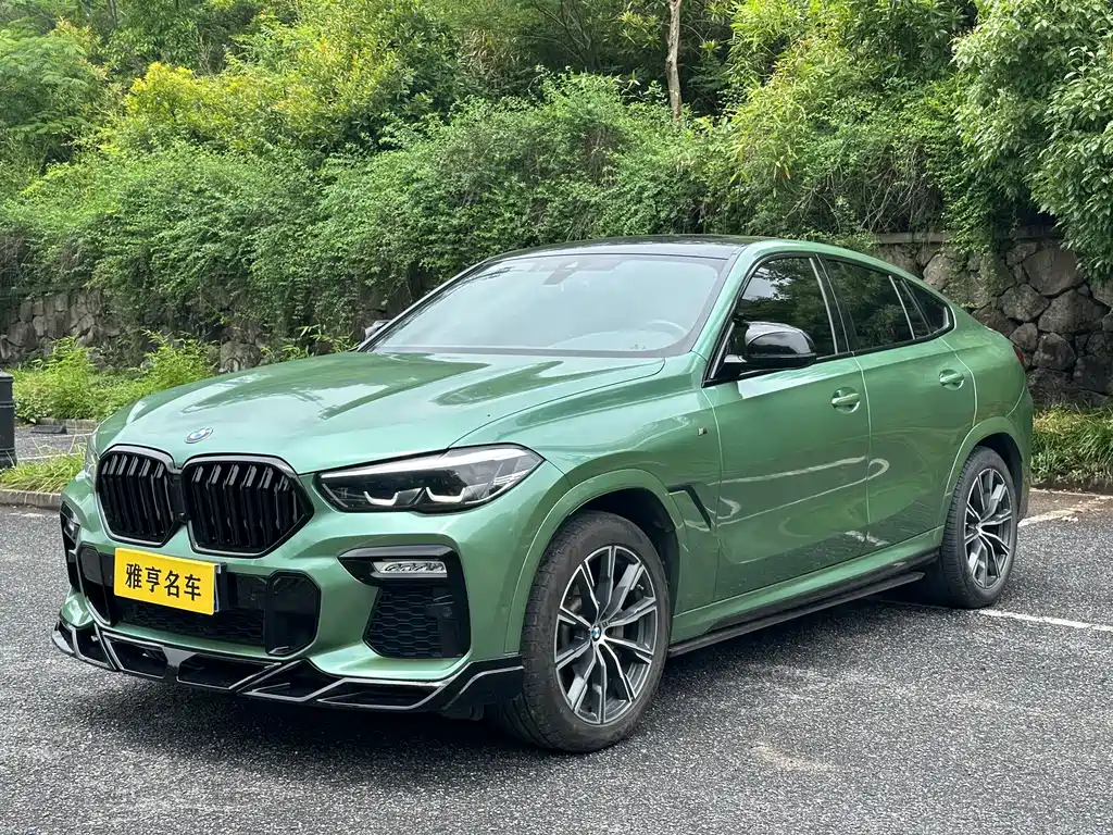 BMW X6 2020