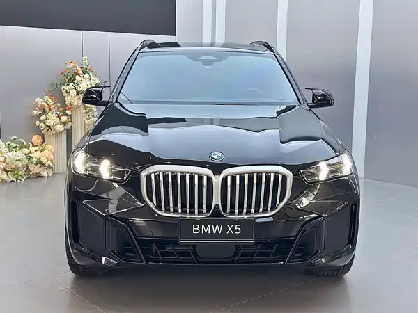 BMW X5 2024