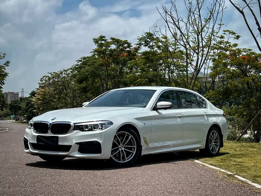 BMW 5 Series 2020 — фото 1