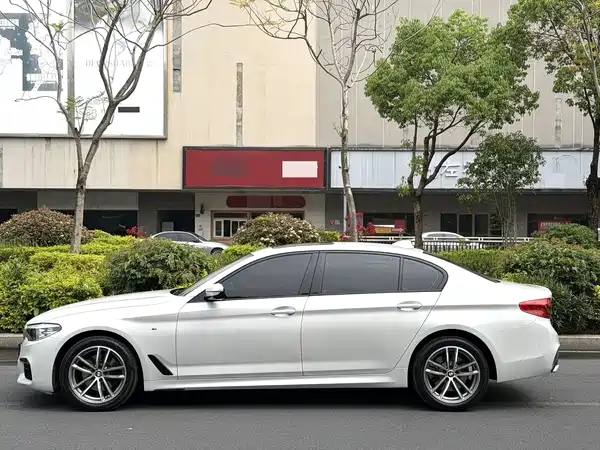 BMW 5 Series 2020