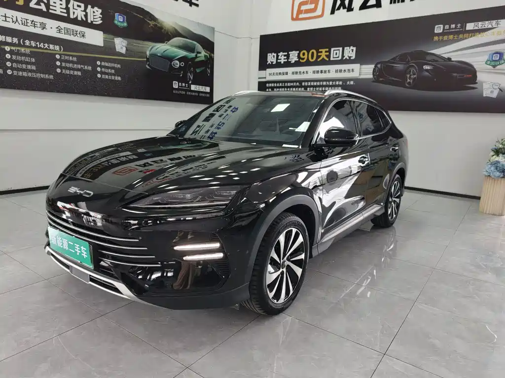 BYD Song PLUS New Energy 2024 — фото 1