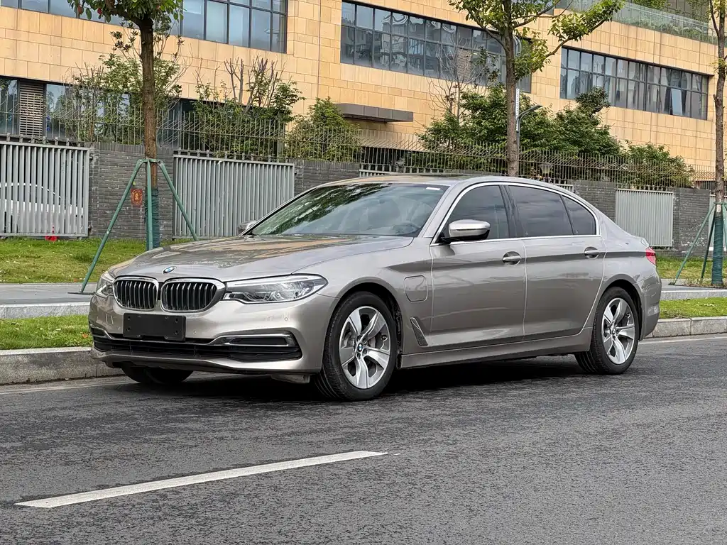 BMW 5 Series New Energy 2020