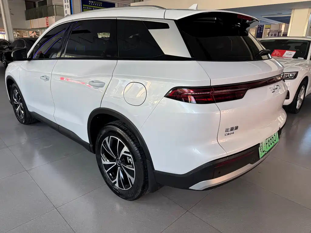 BYD Pro New Energy 2024 — фото 6