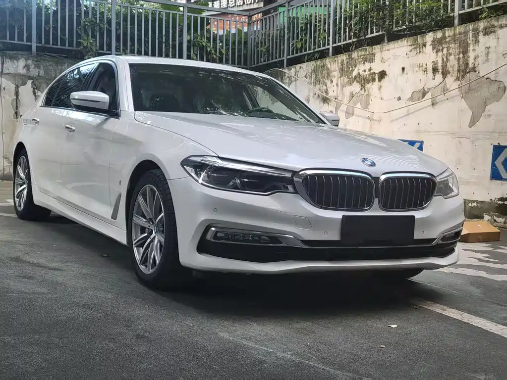 BMW 5 Series New Energy 2019