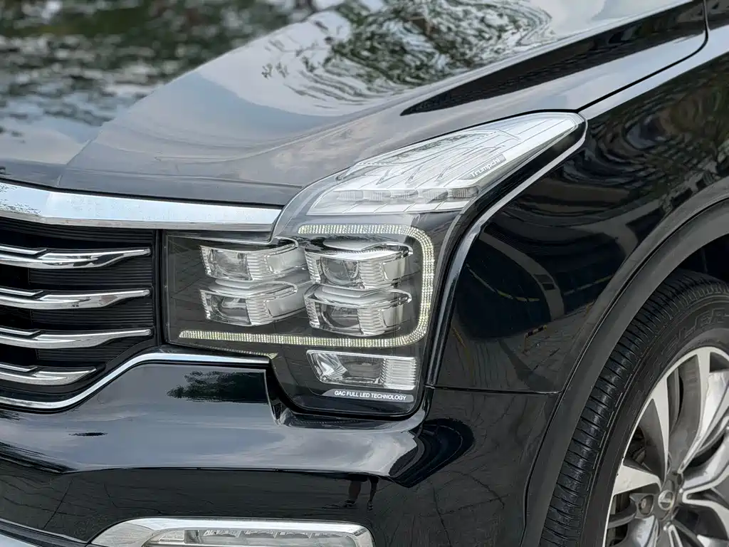 GAC Motor Trumpchi GS8 2017 — фото 5