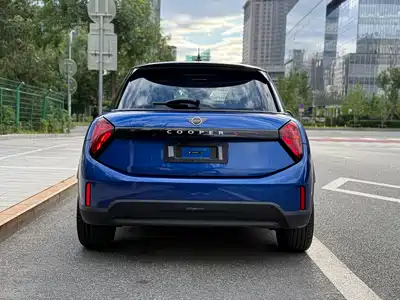 MINI MINI 2025
