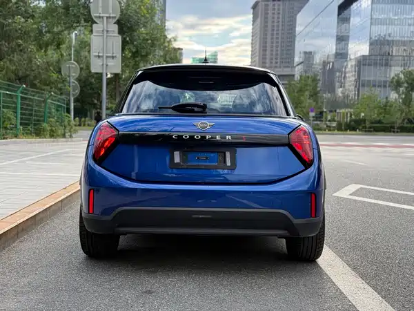MINI MINI 2025