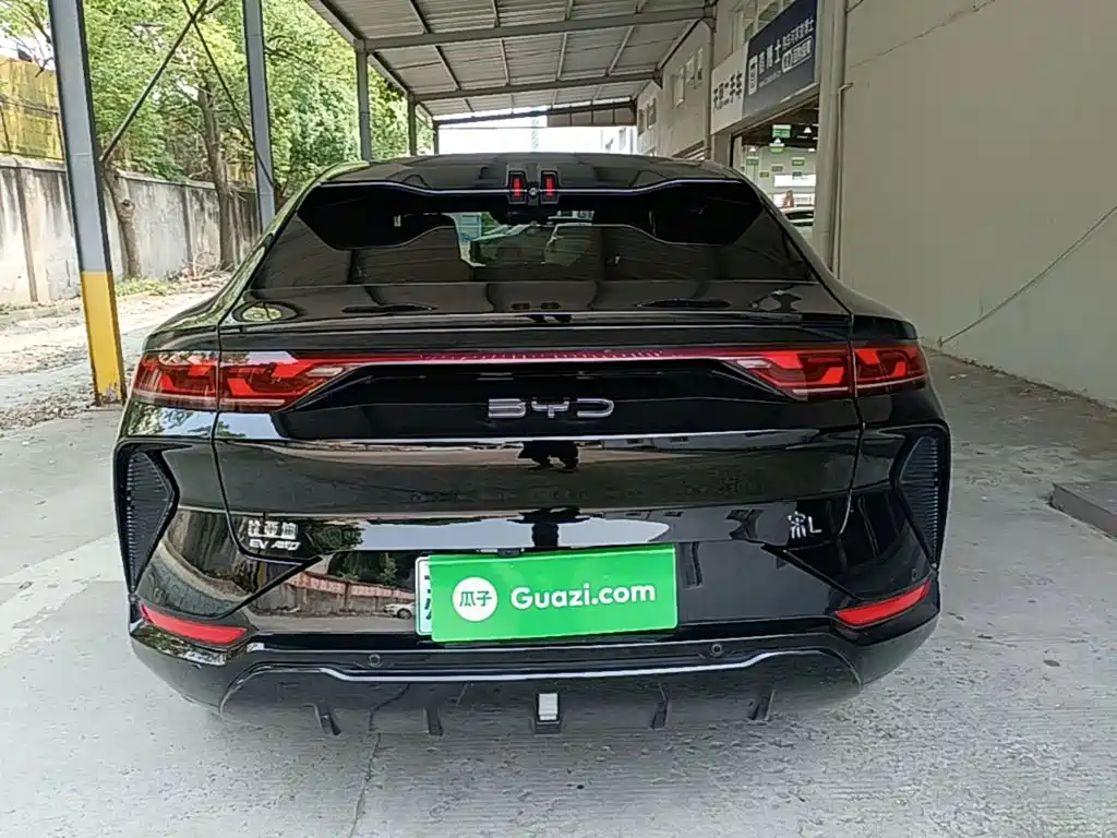 BYD L EV 2025