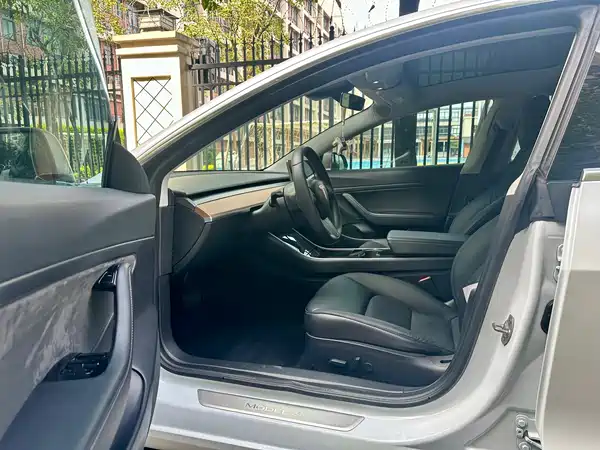 Tesla Model 3 2019
