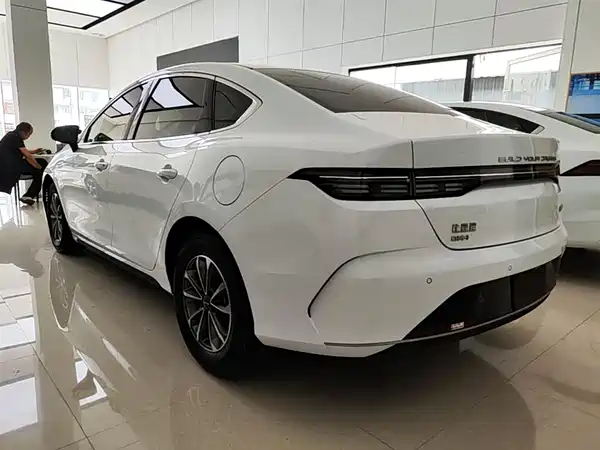 BYD Destroyer 05 2024
