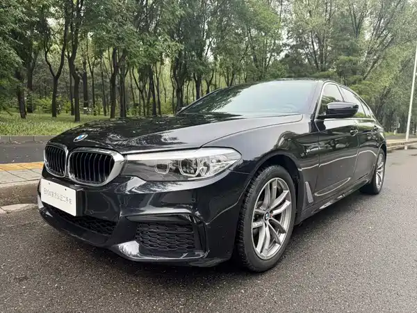 BMW 5 Series 2019