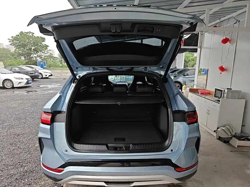 BYD PLUS New Energy 2023 — фото 19
