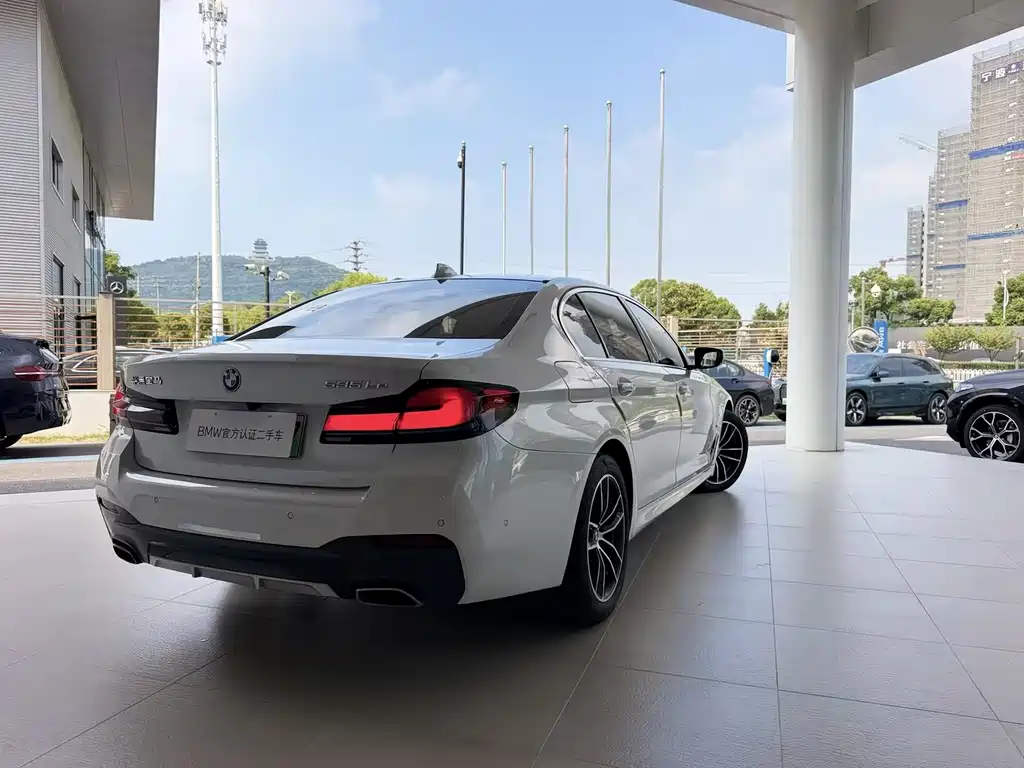 BMW 5 Series New Energy 2021