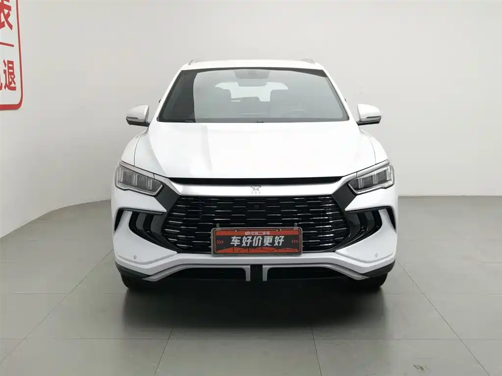BYD Pro New Energy 2024 — фото 3