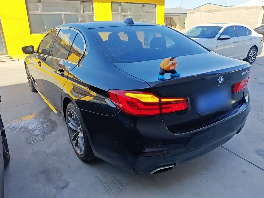 BMW 5 Series 2019 — фото 23