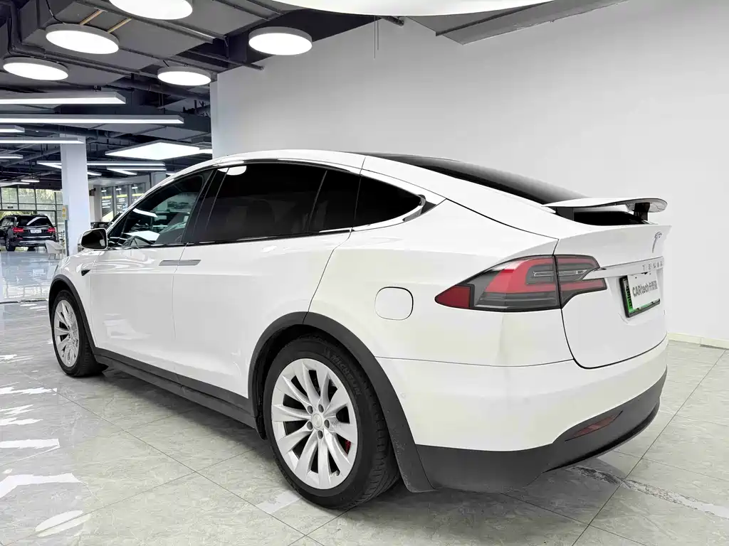 Tesla Model X 2019