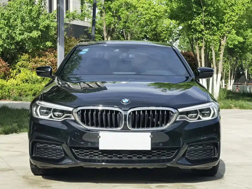 BMW 5 Series 2019 — фото 2