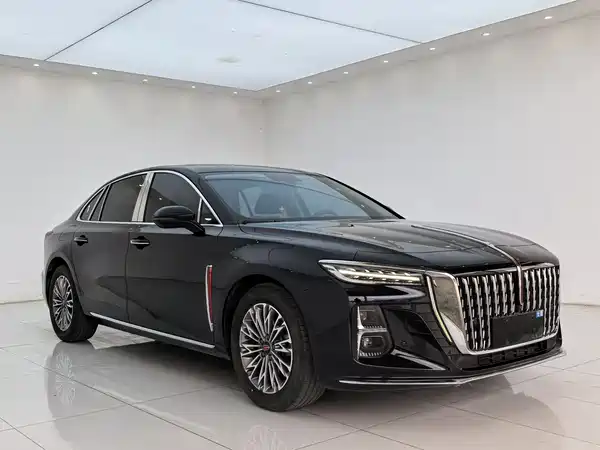 Hongqi H5 2024