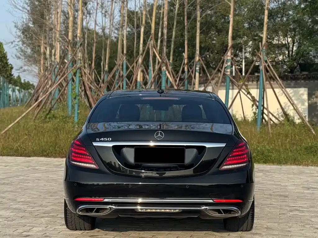 Mercedes-Benz S-Class 2019 — фото 21