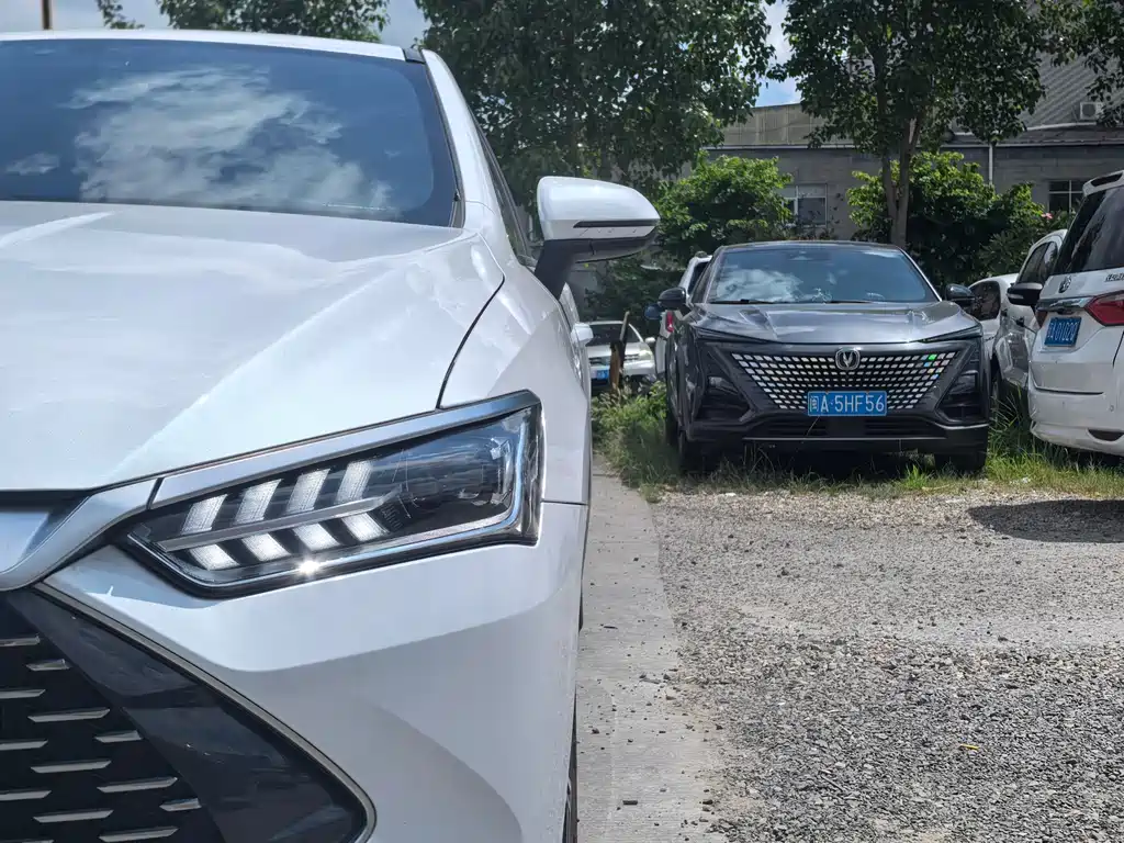 BYD Qin PLUS 2022