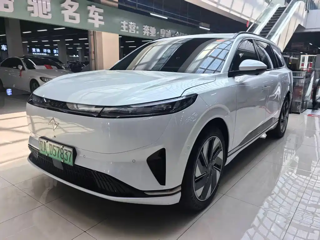Dongfeng e008 2024