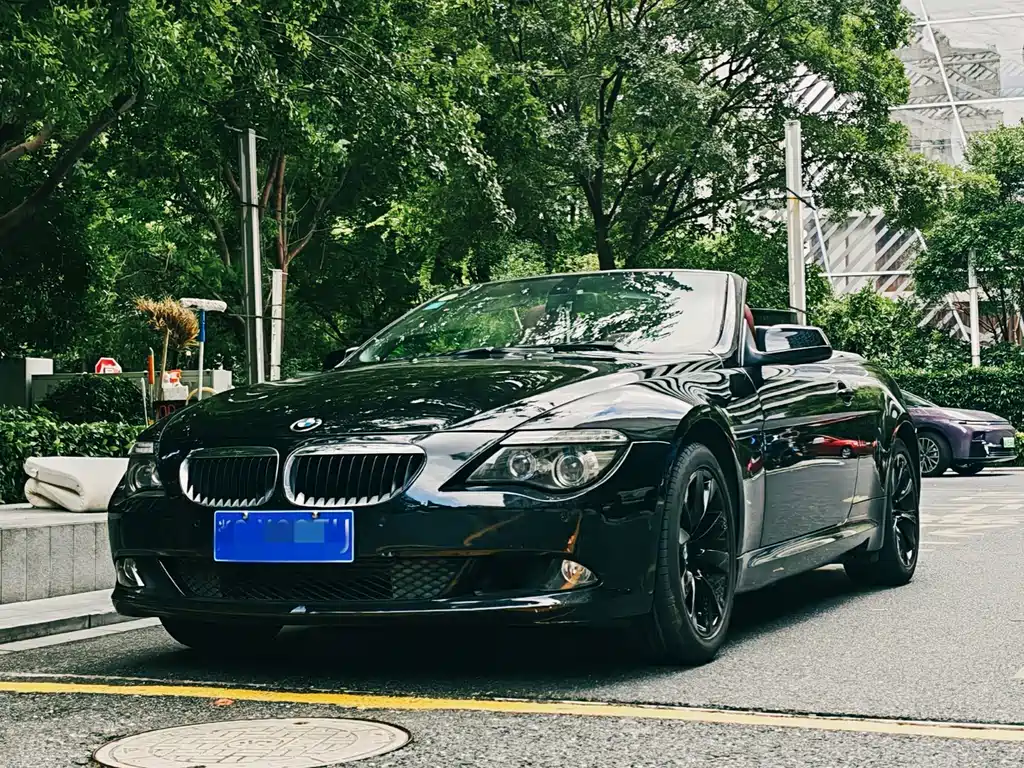 BMW 6 Series 2010