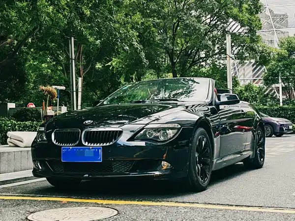 BMW 6 Series 2010