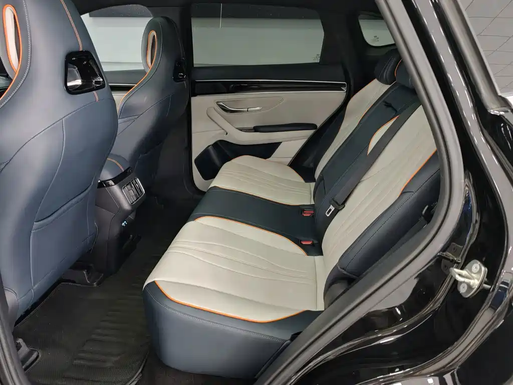 BYD Song PLUS New Energy 2024 — фото 15