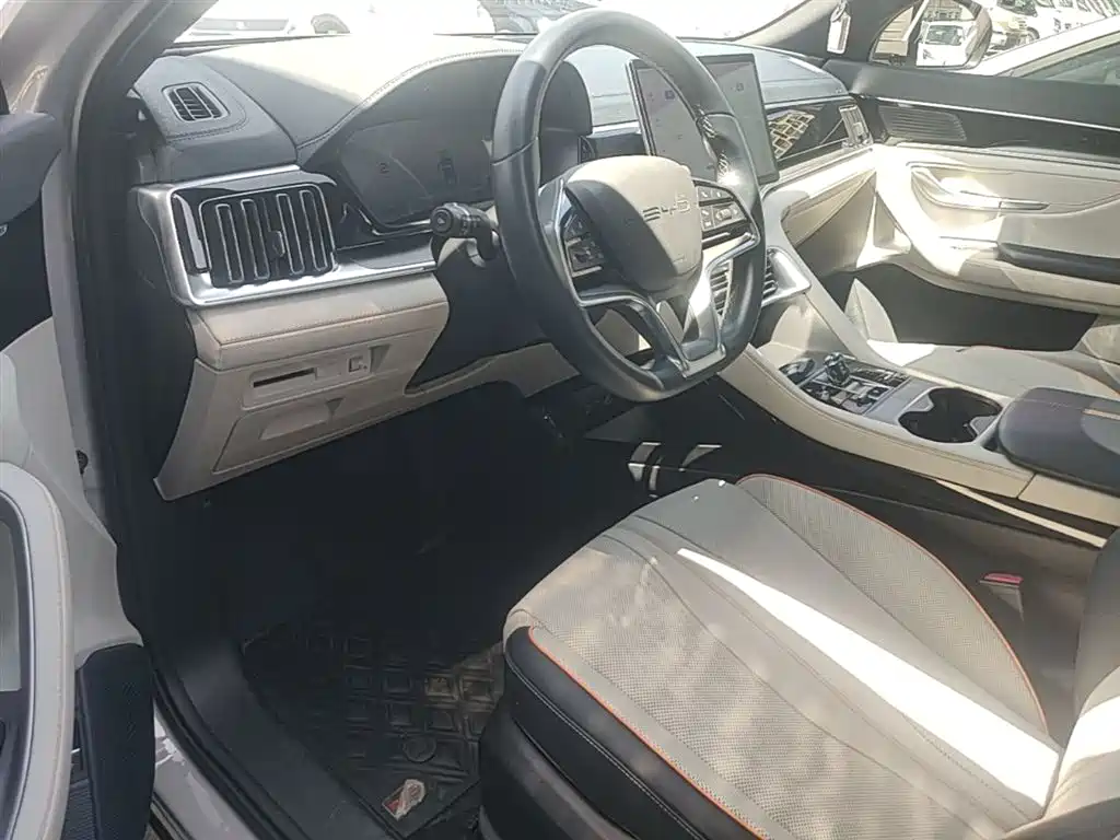 BYD PLUS New Energy 2023 — фото 16