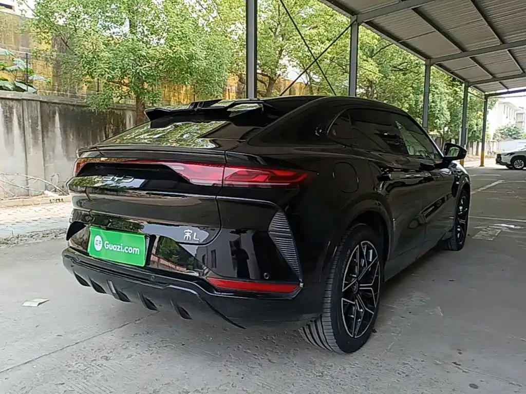 BYD L EV 2025