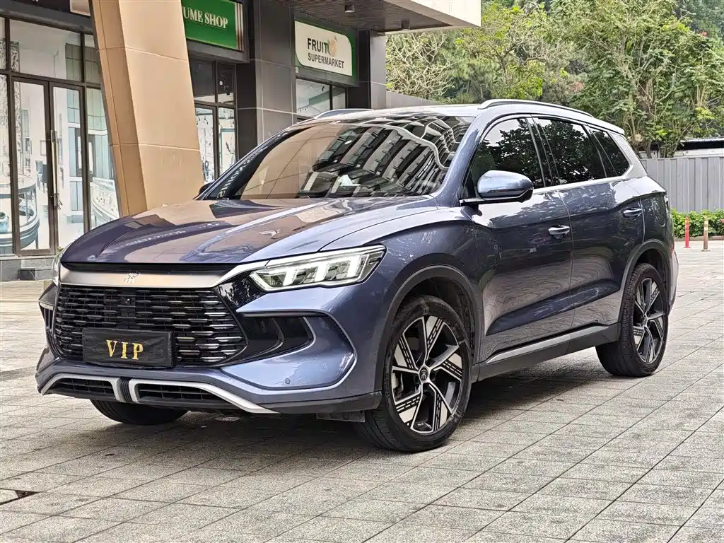 BYD Pro New Energy 2024 — фото 1