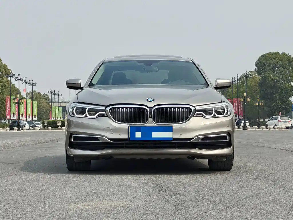 BMW 5 Series 2019
