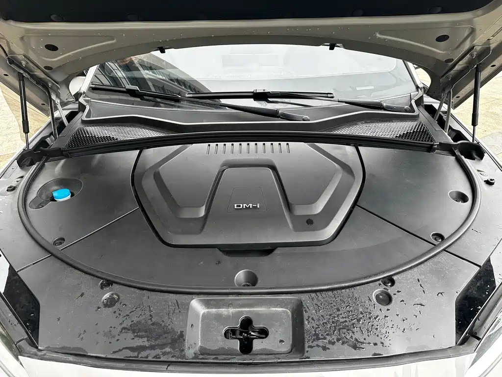 BYD Song PLUS New Energy 2024 — фото 14