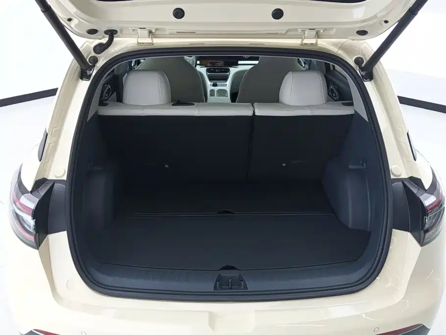 Geely Galaxy Starwish 2025 — фото 4