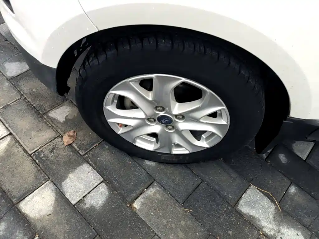Ford EcoSport 2015 — фото 23