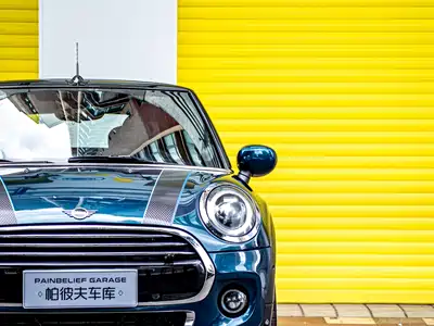 MINI MINI 2021