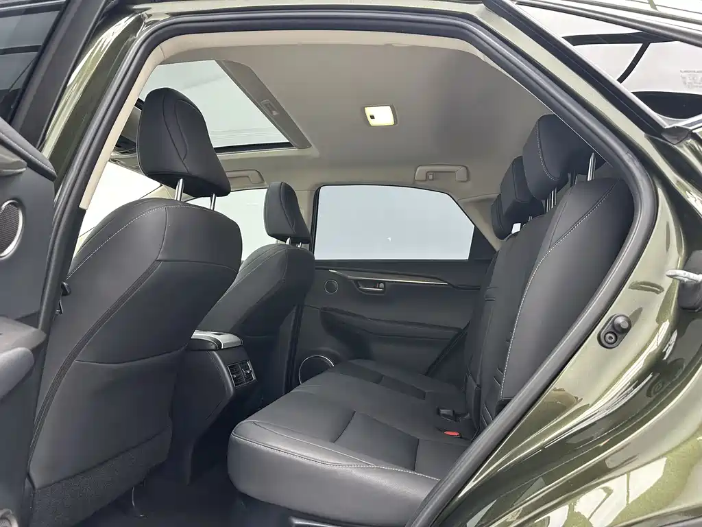Lexus NX 2021