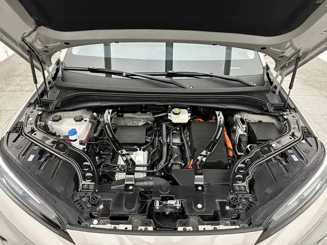 BYD Sealion 07 DM-i 2025 — фото 17
