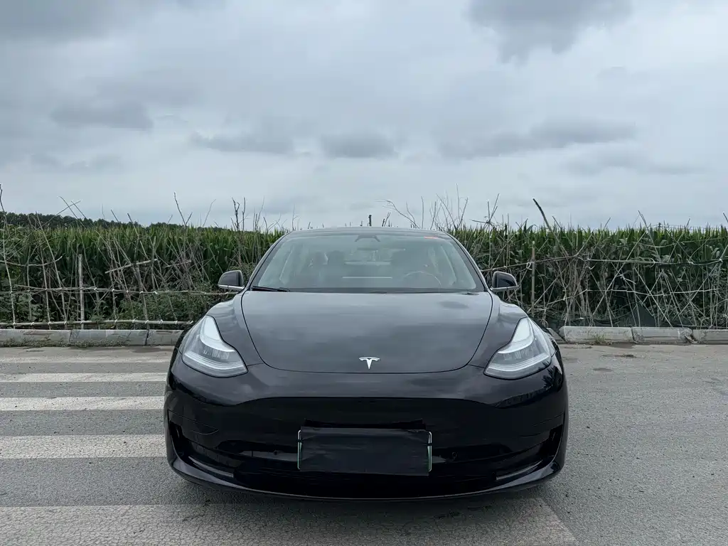 Tesla Model 3 2020 — фото 2