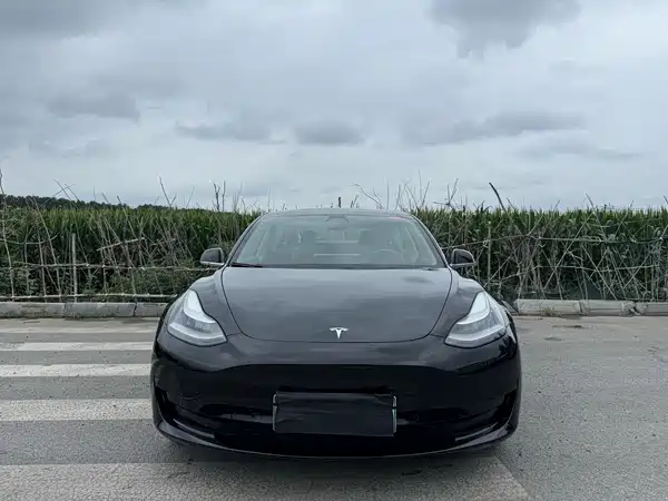Tesla Model 3 2020