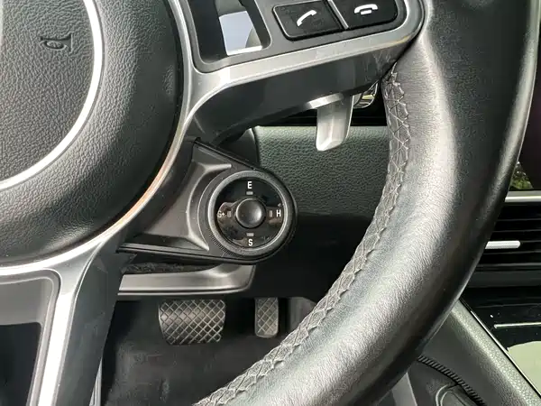Porsche Cayenne New Energy 2020