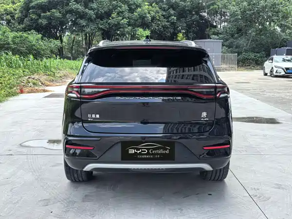 BYD Tang New Energy 2022