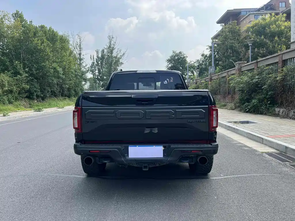 Ford F-150 Raptor 2019 — фото 10