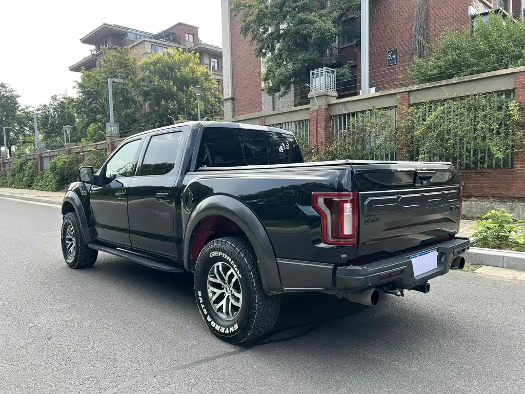 Ford F-150 Raptor 2019 — фото 9