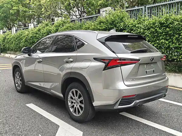 Lexus NX 2019