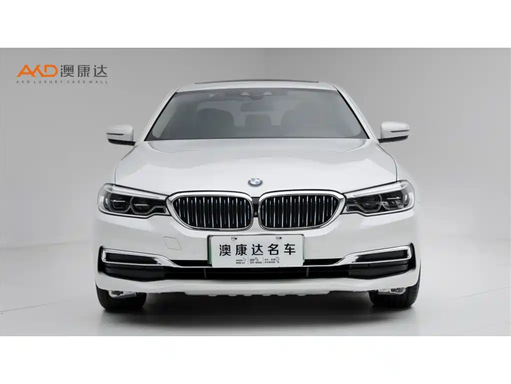 BMW 5 Series New Energy 2019