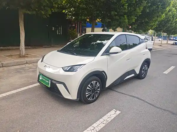 BYD Seagull 2025