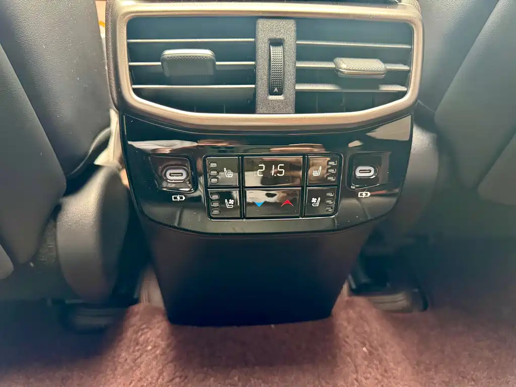 Lexus RX New Energy 2023 — фото 13