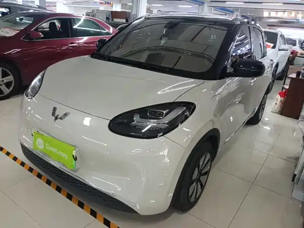 Wuling Bingo 2024