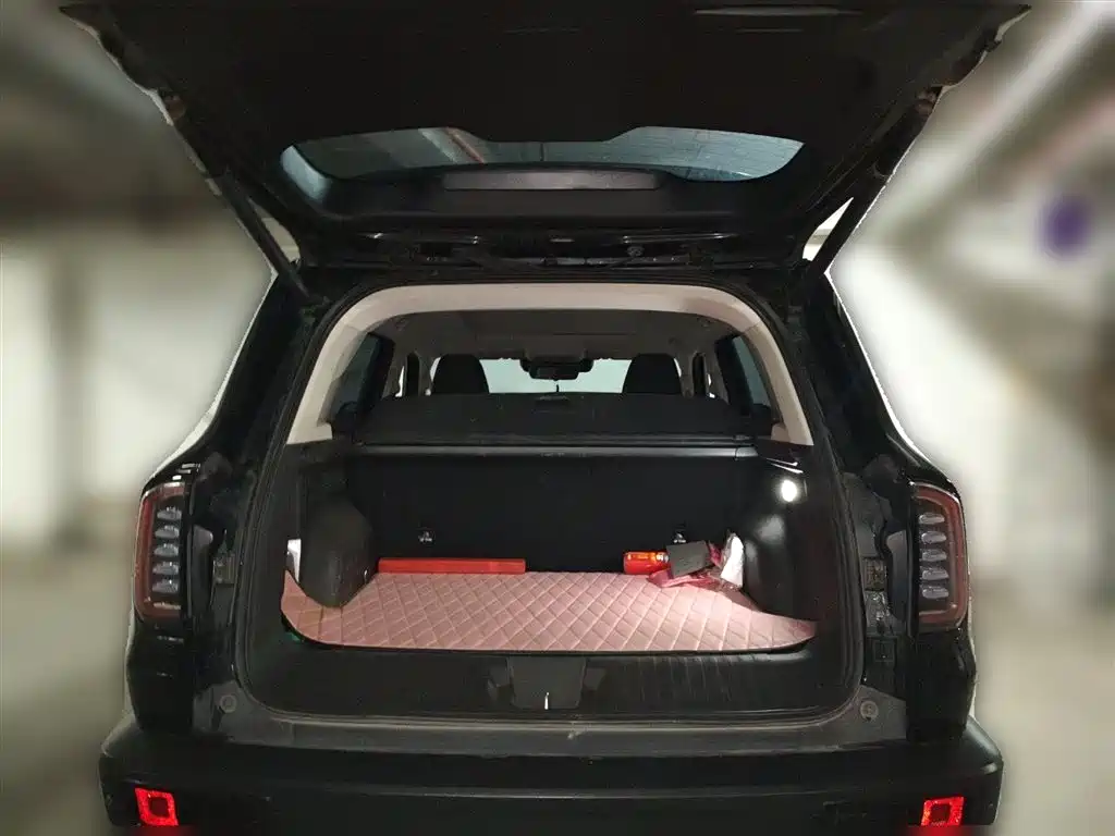 Haval Big Dog 2022 — фото 10
